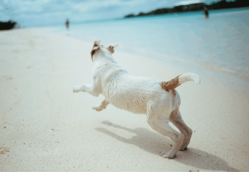 How Will I Know When 'It’s Time'? 43